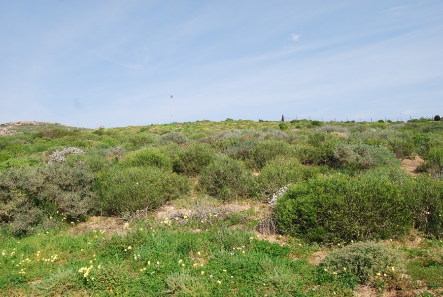 0 Bedroom Property for Sale in St Helena Views Western Cape